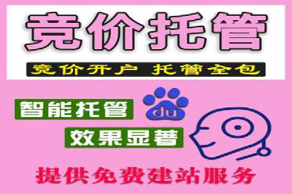 百度推广费用优化策略：成功企业案例分享